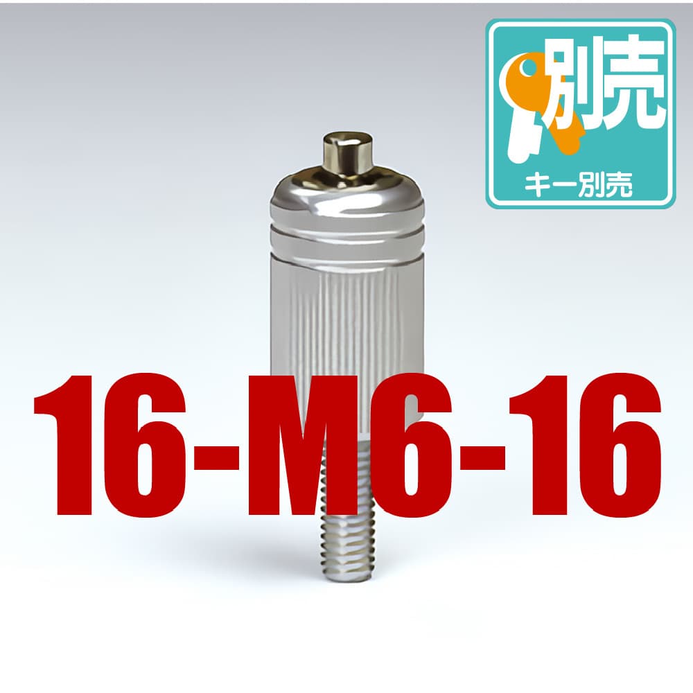 16-m6-16.jpg